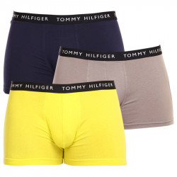 3PACK boxeri bărbați Tommy Hilfiger multicolori (UM0UM02203 0S1)